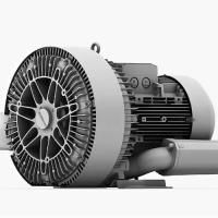 Воздуходувка вихревая промышленная Elektror 1SD 910 - 50/12,5